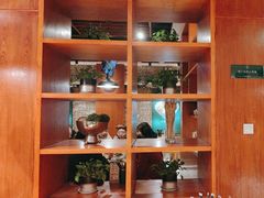 -古觉面片(科技路天朗蓝湖树店)