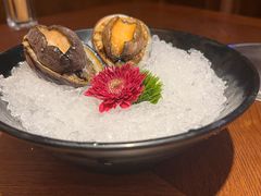鲜活六头鲍-东海怡品海鲜豆捞(星街坊店)