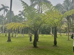 -中国科学院西双版纳热带植物园