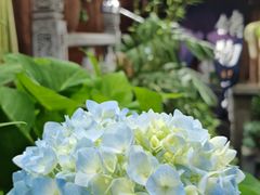 大堂-龙姐私房菜(和顺古镇店)