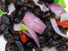 洋葱炒木耳-清真·益鑫羊肉手抓馆(花园北街店)