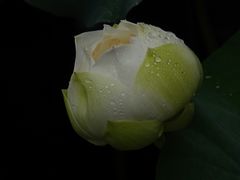 -黄兴公园