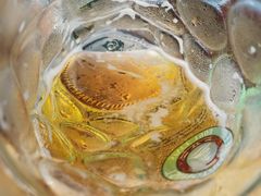 -第35届青岛国际啤酒节