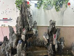 -八次方密云水库鱼粘卷子·熏鸽子·农家菜
