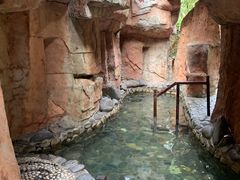 -明月山天沐温泉度假村