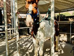 -金庭庄园酒店-停车场