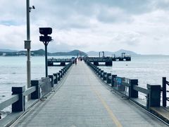 -三亚游船旅游中心(三亚鹿回头游艇游船公共码头店)