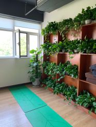 -兰瑜伽·普拉提