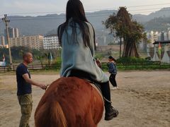 -美心红酒小镇游乐园