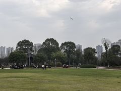 -洋湖国家湿地公园