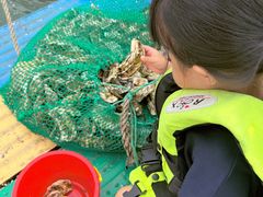 -那香海钻石沙滩浴场