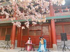 -潭柘寺景区