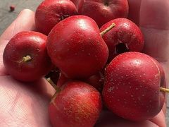 -土灶台海鲜聚·天津菜(新港店)