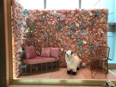 -Dazzling Cafe 蜜糖吐司专卖店