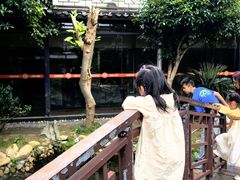 -柴米油盐(土菜院子店)