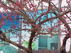 -苏宁易购(上海沪太路二店)