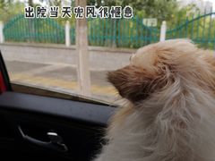 -美联众合动物医院·24h京西诊疗中心