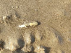 -北戴河东海水浴场