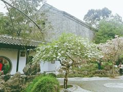 -何园