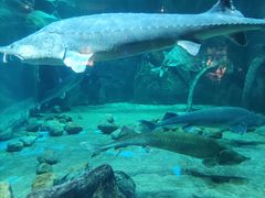 -华夏文旅海洋公园