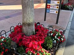 -奥兰多环球影城