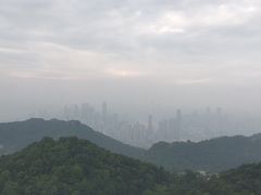 -大金鹰园