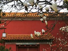 -北京市劳动人民文化宫(太庙)