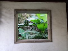 -秋霞圃