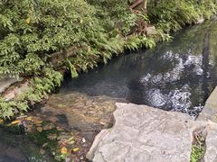 -天赐温泉