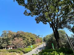 -火炉山森林公园