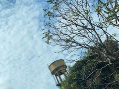 -海口火山口国家地质公园