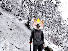 -九峰山