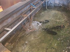 -井水小厨·湘菜(活力广场店)