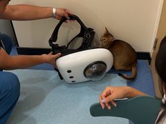 -萌兽医馆·犬猫专科·眼科中心·宠物医院(朝阳门分院)