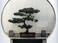 -程十发艺术馆