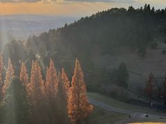 -神户市立六甲山牧场