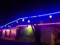 -枫花园汽车电影院(朝阳公园店)