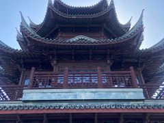 -上海海湾国家森林公园