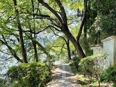 -严子陵钓台(富春江小三峡)