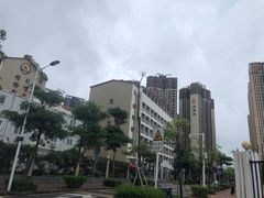 -深圳市坪山区中山小学