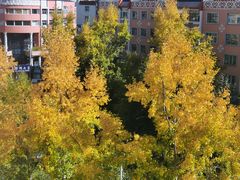 -贝尔大酒店(海拉尔伊仕丹购物广场店)