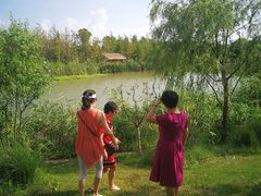 -上海长兴岛郊野公园