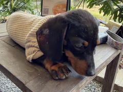 -喜洲吧·江畔老船厂·庭院餐厅(喜临院店)