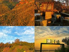 -莫干山风景区