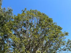 -东钱湖旅游度假区