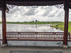 -上海海湾国家森林公园