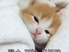 -粤湘情(珠海海泉湾店)