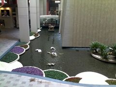 -上海波特曼丽思卡尔顿酒店