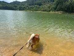 -凤岗南门山森林公园