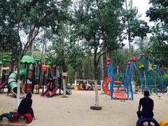 -合肥滨湖国家森林公园